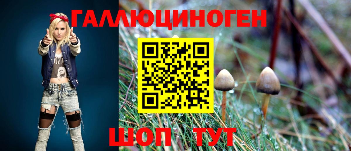 Усинск  Псилоцибиновые грибы мицелий  Вход с VPN 